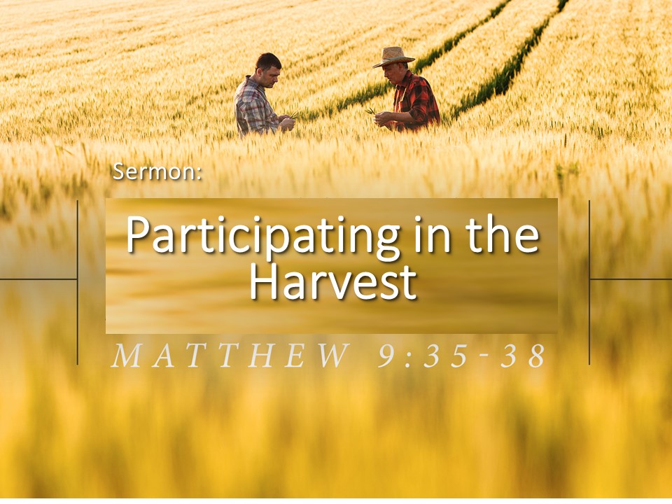 “Participating in the Harvest”